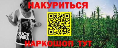 a pvp Братск