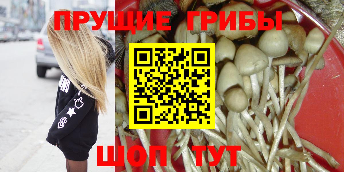 как найти закладки  Галлюциногенные грибы Cubensis  Вход с VPN  Белореченск 