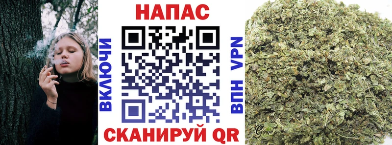 где продают наркотики  Белореченск  Конопля план 
